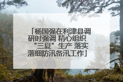 杨国强在利津县调研时强调 精心组织“三夏”生产 落实落细防汛备汛工作