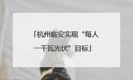 杭州临安实现“每人一千瓦光伏”目标
