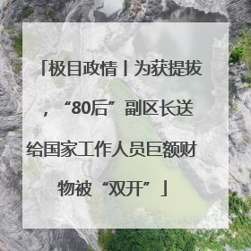 极目政情丨为获提拔，“80后”副区长送给国家工作人员巨额财物被“双开”