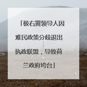 极右翼领导人因难民政策分歧退出执政联盟，导致荷兰政府垮台