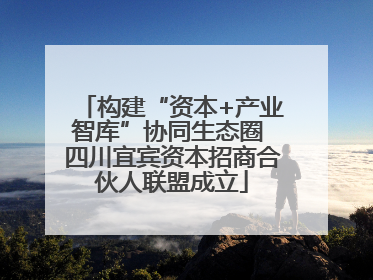 构建“资本+产业智库”协同生态圈 四川宜宾资本招商合伙人联盟成立