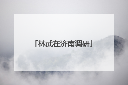 林武在济南调研