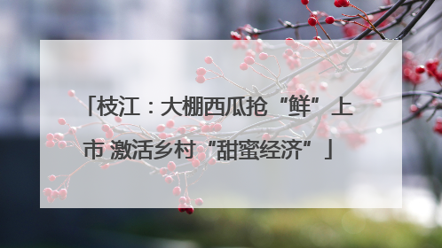枝江：大棚西瓜抢“鲜”上市 激活乡村“甜蜜经济”