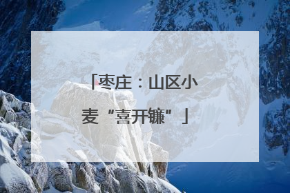 枣庄：山区小麦“喜开镰”