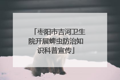 枣阳市吉河卫生院开展蜱虫防治知识科普宣传