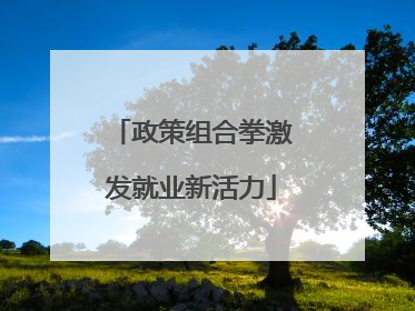 政策组合拳激发就业新活力