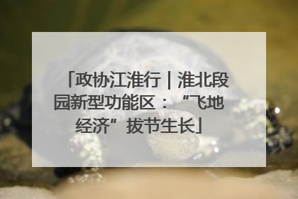 政协江淮行｜淮北段园新型功能区：“飞地经济”拔节生长