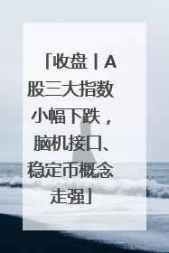 收盘丨A股三大指数小幅下跌，脑机接口、稳定币概念走强
