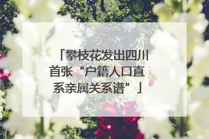 攀枝花发出四川首张“户籍人口直系亲属关系谱”