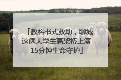教科书式救助，聊城这俩大学生高架桥上演15分钟生命守护