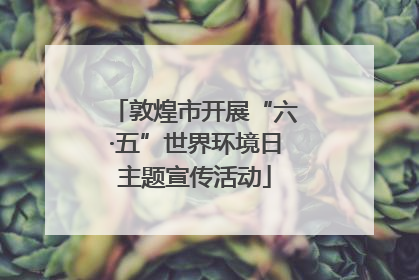敦煌市开展“六·五”世界环境日主题宣传活动