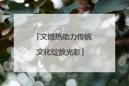 文博热助力传统文化绽放光彩