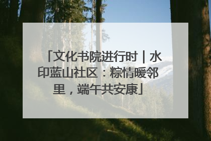 文化书院进行时｜水印蓝山社区：粽情暖邻里，端午共安康