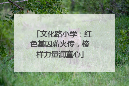 文化路小学：红色基因薪火传，榜样力量润童心