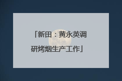 新田：黄永英调研烤烟生产工作