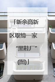新余高新区取缔一家“黑鞋厂”(图)