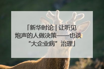 新华时论 | 让听见炮声的人做决策——也谈“大企业病”治理