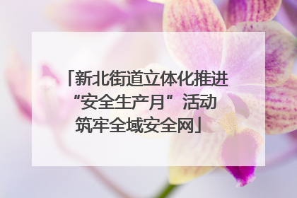 新北街道立体化推进“安全生产月”活动 筑牢全域安全网