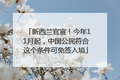 新西兰官宣！今年11月起，中国公民符合这个条件可免签入境
