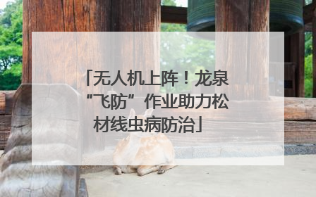 无人机上阵！龙泉“飞防”作业助力松材线虫病防治