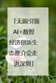 无锡引领AI+数智经济创新生态推介会走进深圳