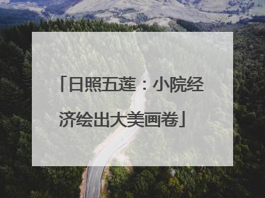 日照五莲：小院经济绘出大美画卷