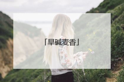 旱碱麦香