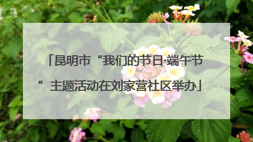 昆明市“我们的节日·端午节”主题活动在刘家营社区举办