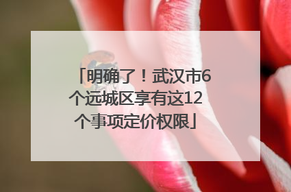 明确了！武汉市6个远城区享有这12个事项定价权限