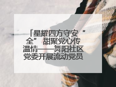 星耀四方守安“全” 甜聚党心传温情——舞阳社区党委开展流动党员建党节主题活动