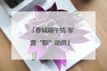 春城端午情 军营“粽”动员