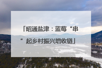 昭通盐津：蓝莓“串”起乡村振兴增收链