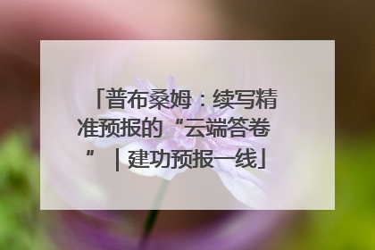 普布桑姆：续写精准预报的“云端答卷”｜建功预报一线