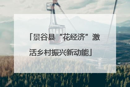 景谷县“花经济”激活乡村振兴新动能