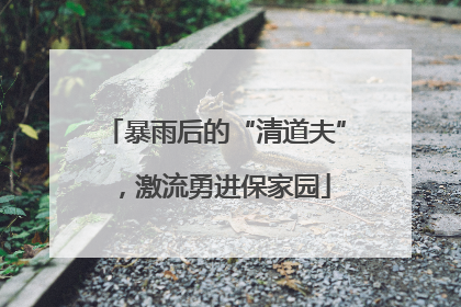 暴雨后的“清道夫”，激流勇进保家园