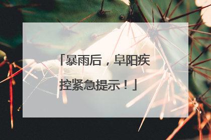 暴雨后，阜阳疾控紧急提示！