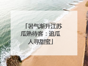 暑气渐升江苏瓜熟待客：追瓜人寻甜蜜