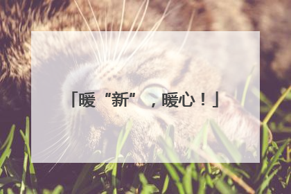 暖“新”，暖心！