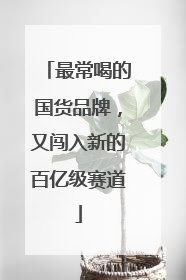 最常喝的国货品牌，又闯入新的百亿级赛道