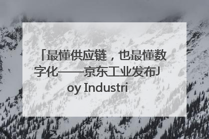 最懂供应链，也最懂数字化——京东工业发布Joy Industrial 重塑工业未来