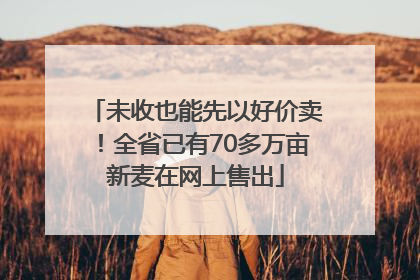 未收也能先以好价卖！全省已有70多万亩新麦在网上售出