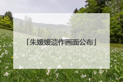 朱媛媛遗作画面公布