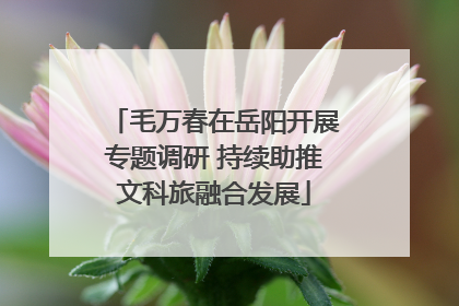 毛万春在岳阳开展专题调研 持续助推文科旅融合发展