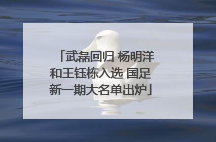 武磊回归 杨明洋和王钰栋入选 国足新一期大名单出炉