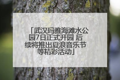 武汉玛雅海滩水公园7日正式开园 后续将推出夏浪音乐节等精彩活动