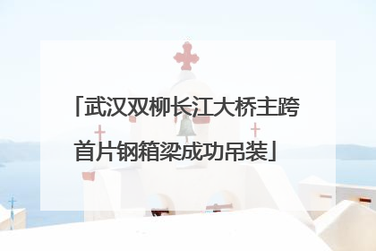 武汉双柳长江大桥主跨首片钢箱梁成功吊装