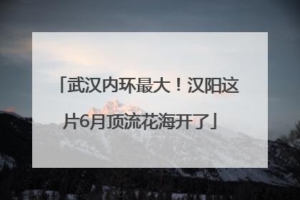 武汉内环最大！汉阳这片6月顶流花海开了