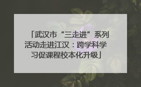 武汉市“三走进”系列活动走进江汉：跨学科学习促课程校本化升级