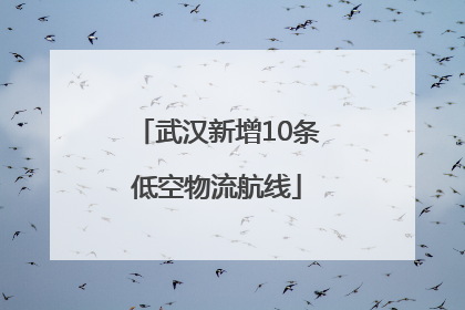武汉新增10条低空物流航线