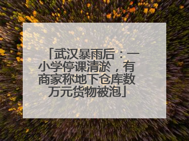 武汉暴雨后：一小学停课清淤，有商家称地下仓库数万元货物被泡